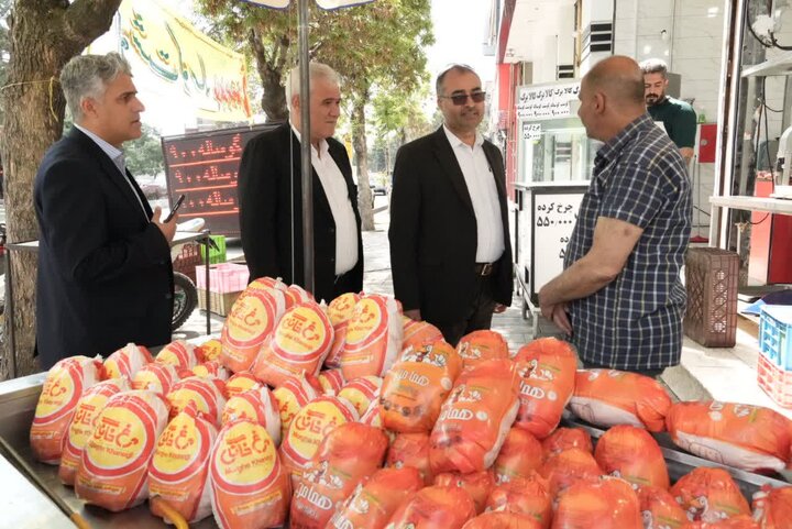 میزان تولید گوشت مرغ گرم در آذربایجان غربی از مرز ۳۰۰ تن عبور کرد