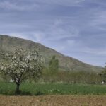 وزش باد شدید و احتمال نفوذ گرد و خاک عراق به کردستان