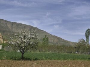 وزش باد شدید و احتمال نفوذ گرد و خاک عراق به کردستان