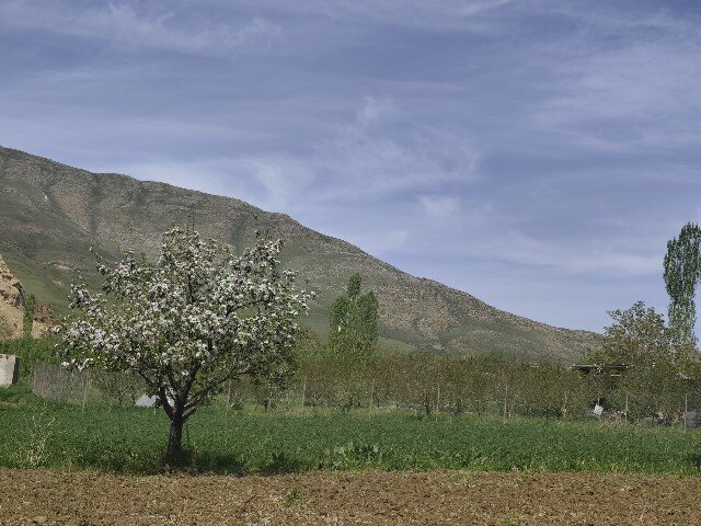 وزش باد شدید و احتمال نفوذ گرد و خاک عراق به کردستان