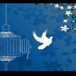 پایان ۱۱ سال چشم‌انتظاری برای اجرای قصاص با گذشت اولیای دم در خوزستان
