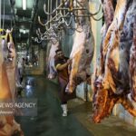 پایداری بازار گوشت قرمز در استان فارس