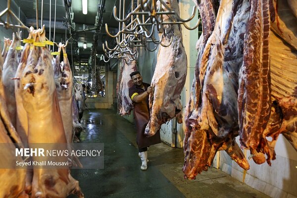 پایداری بازار گوشت قرمز در استان فارس
