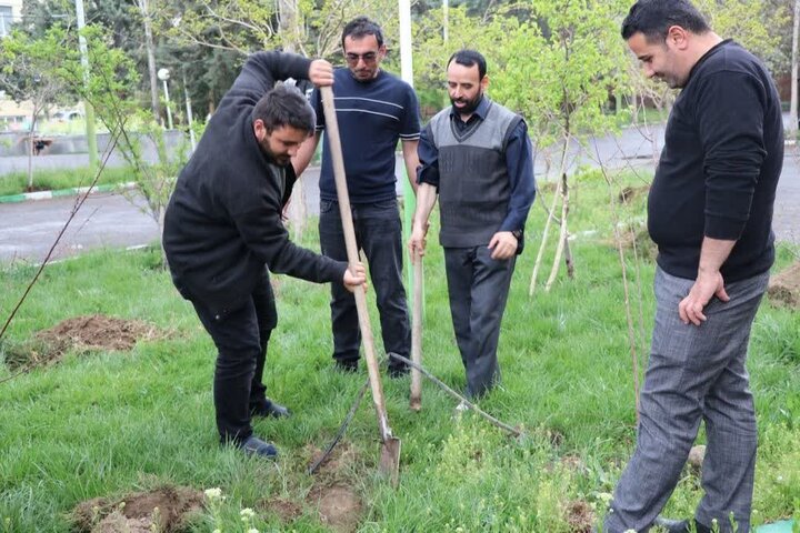کاشت ۸۶ نهال میوه در جامعه‌المصطفی تبریز به یاد قائد شهید