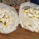 کشف بیش از ۷۰ کیلوگرم مواد مخدر در تایباد 