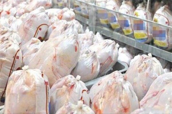 کشف و ضبط ۱۰ تن مرغ خارج از شبکه توزیع در استان ایلام