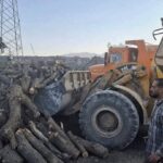 کشف ۱۲ تن چوب قاچاق در برخوار؛۱۴ قاچاقچی دستگیر شدند