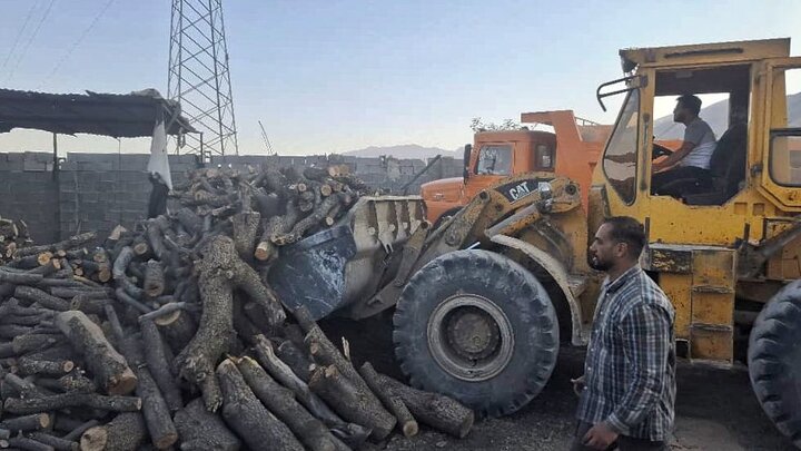 کشف ۱۲ تن چوب قاچاق در برخوار؛۱۴ قاچاقچی دستگیر شدند