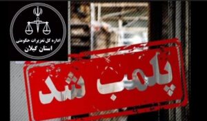 کشف ۳۱۰ میلیارد ریال مرغ احتکاری در رودبار؛ سردخانه پلمب شد