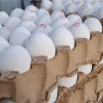 ۳ هزار کارتن تخم مرغ از طریق مرزهای آذربایجان غربی وارد کشور شد 