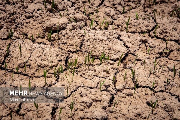 ۶۱۸ روستای لرستان دچار تنش آبی هستند