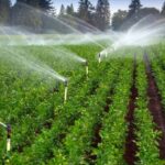 اجرای سیستم‌های نوین آبیاری در ۶۲ هزار هکتار از اراضی کشاورزی لرستان