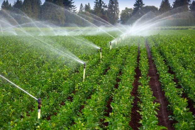 اجرای سیستم‌های نوین آبیاری در ۶۲ هزار هکتار از اراضی کشاورزی لرستان