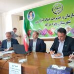 خرسندی: مراغه قطب تولید سیب و محصولات باغی آذربایجان شرقی است