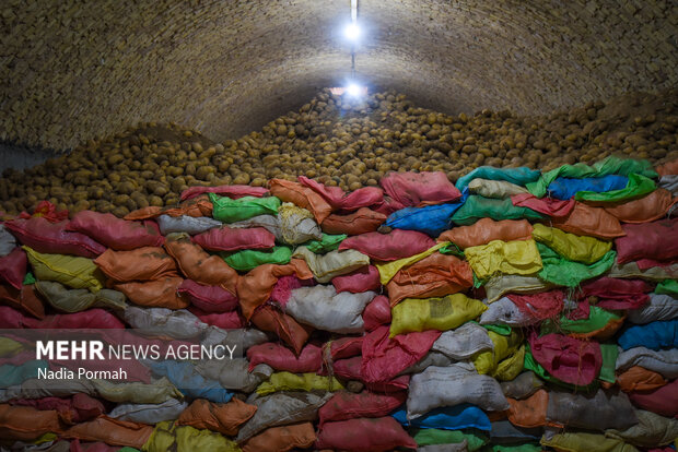 خوزستان آماده جهش در تولید سیبزمینی؛ نیاز به صنایع تبدیلی و سردخانه خوزستان آماده جهش در تولید سیبزمینی؛ نیاز به صنایع تبدیلی و سردخانه