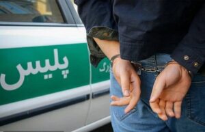 سارق غیربومی در عسلویه دستگیر شد