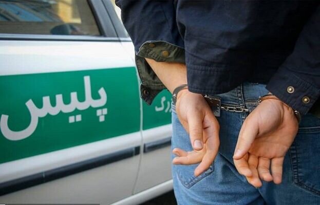 سارق غیربومی در عسلویه دستگیر شد