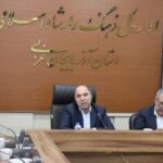 سینما موثرترین ابزار توسعه فرهنگی در استان‌های مرزی است