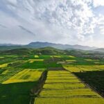 صدور ۶۵ مجوز تغییر کاربری قانونی در اراضی کشاورزی فارس