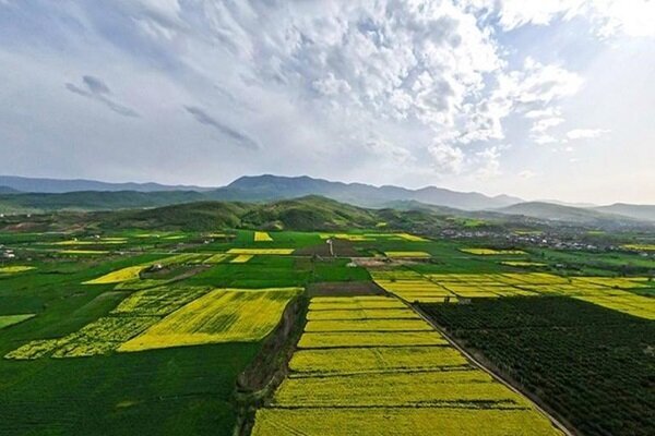 صدور ۶۵ مجوز تغییر کاربری قانونی در اراضی کشاورزی فارس
