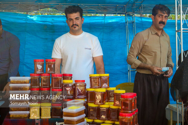 عسل زاگرس در مسیر جهش صادراتی؛زنبورداری کرمانشاه در انتظار حمایت عسل زاگرس در مسیر جهش صادراتی؛زنبورداری کرمانشاه در انتظار حمایت