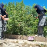 عطر گل و گلاب در مدارس کجور؛ معلم و دانش‌آموز هر دو باغبان شدند