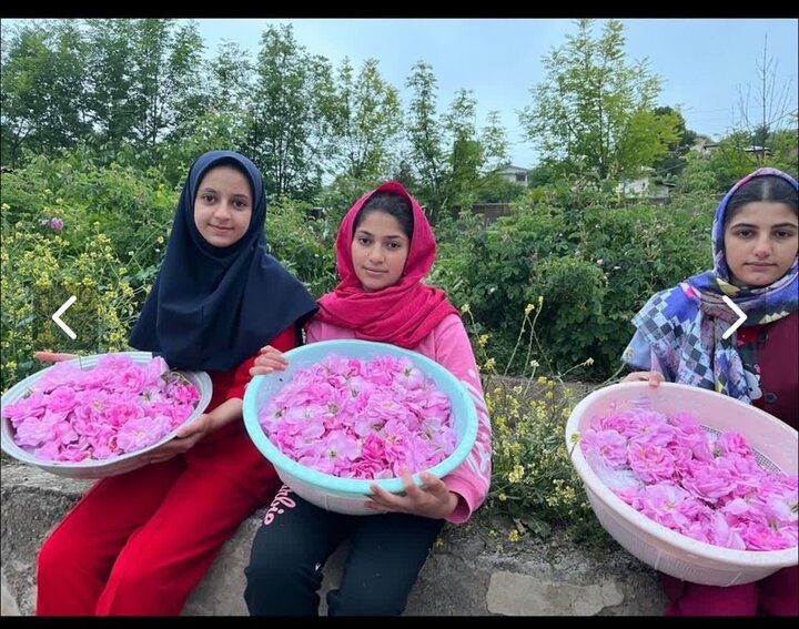 عطر گل و گلاب در مدارس کجور؛ معلم و دانش‌آموز هر دو باغبان شدند