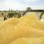 لزوم شفافیت و تسریع در پرداخت مطالبات کشاورزان کوهدشتی