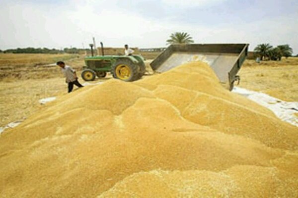 لزوم شفافیت و تسریع در پرداخت مطالبات کشاورزان کوهدشتی