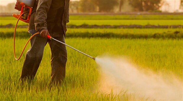 مبارزه با آفات در۳۲۴۰ هکتار اراضی شاهرود؛ ۲۵ هکتار با پهپاد انجام شد