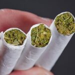 ناکامی قاچاقچیان در انتقال ۳۱ کیلوگرم حشیش در جاسک