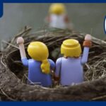 نتیجه یک پژوهش؛ آشیانه خالی، مفهومی فراتر از دوری