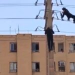 نجات جان جوان ۲۱ ساله خمینی‌شهری با مشاوره پلیس