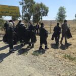 ورودی پارک ملی قطرویه پاکسازی شد