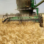 پیش‌بینی برداشت بیش از ۱۰ هزار تن جو در خداآفرین