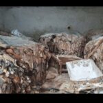 کشف انبار گوشت‌ فاسد در اردبیل
