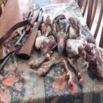 کشف لاشه ۲ کل و بز وحشی و دستگیری ۴ شکارچی متخلف در منطقه بدر و پریشان
