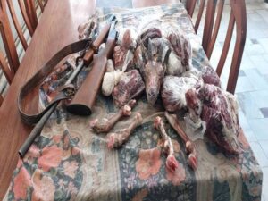 کشف لاشه ۲ کل و بز وحشی و دستگیری ۴ شکارچی متخلف در منطقه بدر و پریشان