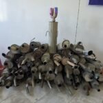 ۵۰ خودرو و موتور دارای آلودگی صوتی در ساری توقیف شد