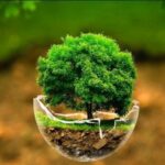 Ø§ÙÙÛØª Ø§ÙØ¯Ø§ÙØ§Øª Ø¬ÙØ¹ÛØª ÙÙØ§Ù Ø§Ø­ÙØ± Ø¯Ø± Ø­ÙØ¸ ÙÙØ§Ø¨Ø¹ Ø·Ø¨ÛØ¹Û
