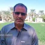 آغاز برداشت خرمای زودرس در دلگان؛ تولید بیش از ۵۰ هزار تن خرما