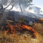 آمادگی سقز در آستانه فصل گرما برای مقابله با آتش‌سوزی مراتع