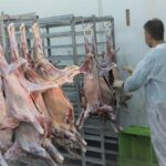 تشدید نظارت دامپزشکی بر موکب‌های اربعین کرمانشاه