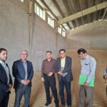 خرید تضمینی ۸ هزار تن گندم از گندم‌کاران مشگین‌شهر