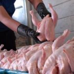 خرید حمایتی ۱۸۰۰ تُن مرغ مازاد در اصفهان؛ نرخ ۳۶۹ هزار تومان اعلام شد