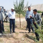 طرح‌های توسعه‌ای و نیروگاه‌های خورشیدی شاهرود زیر ذره‌بین جهاد کشاورزی