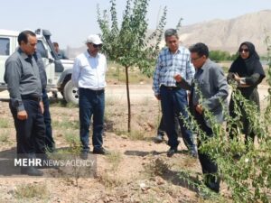 طرح‌های توسعه‌ای و نیروگاه‌های خورشیدی شاهرود زیر ذره‌بین جهاد کشاورزی
