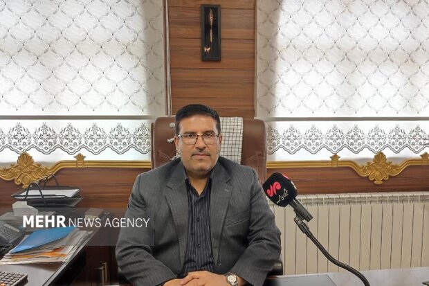 پرداخت ۴۷ درصد مطالبات گندم‌کاران سیستان و بلوچستان