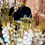 آماده‌سازی گل‌ها و گل‌آرایی برای مراسم خطبه خوانی شب شهادت امام رضا(ع)