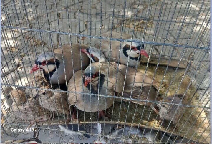اخبار کوتاه محیط‌زیستی اصفهان